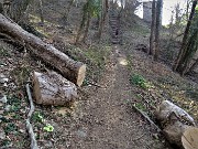 12 In salita verso la cascina